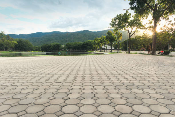 Best Best Driveway Pavers  in Canutillo, TX