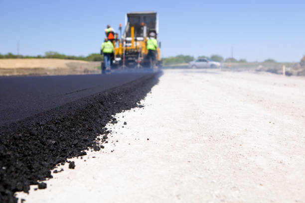 Best Driveway Paver Repair  in Canutillo, TX