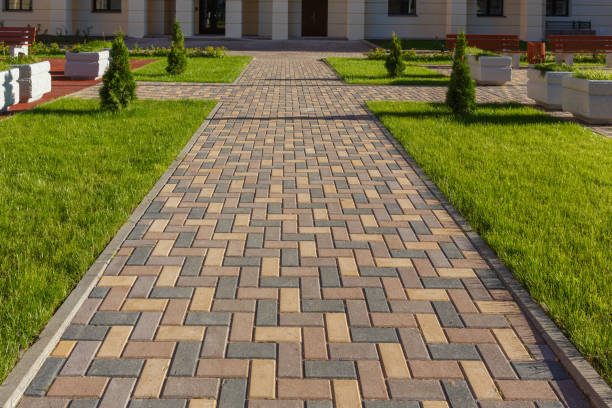 Best Driveway Paving Contractor  in Canutillo, TX